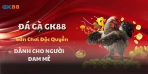 Đá Gà GK88 - Sân Chơi Độc Quyền Dành Cho Người Đam Mê
