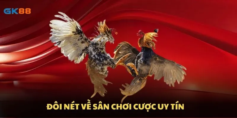 Đôi nét về sân chơi cược uy tín