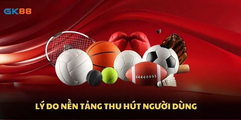 Lý do nền tảng thu hút người dùng