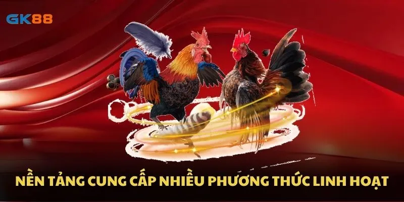 Nền tảng cung cấp nhiều phương thức linh hoạt