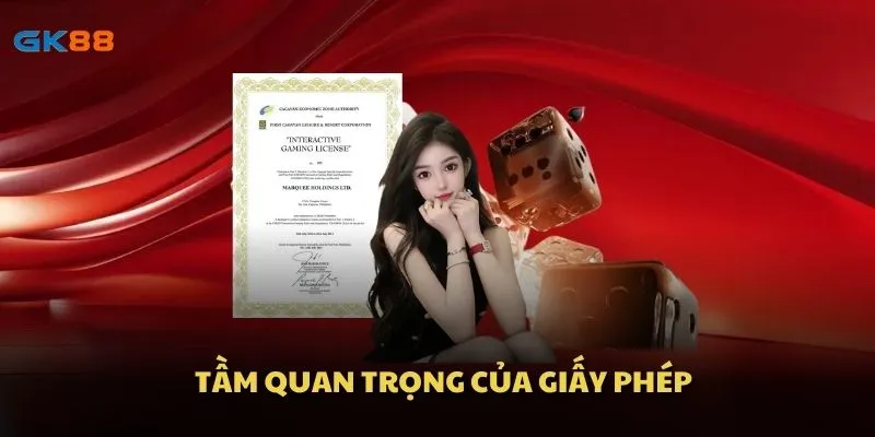 Tầm quan trọng của giấy phép