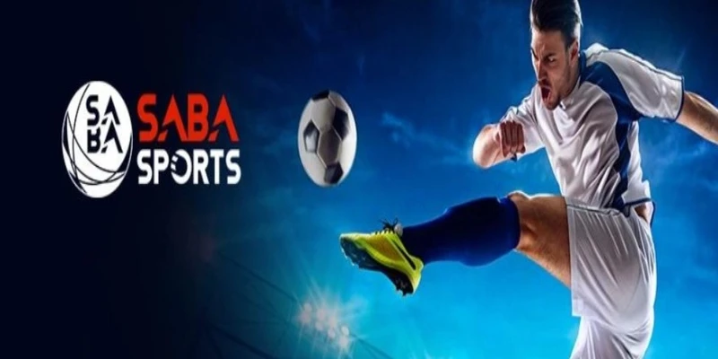 Các loại kèo phổ biến trong saba thể thao